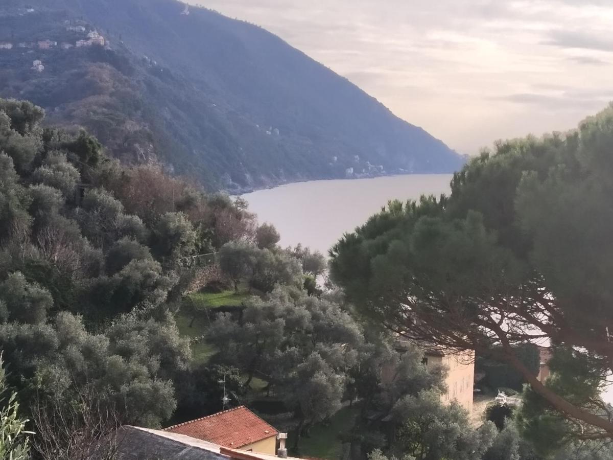 Villa San Prospero Camogli Eksteriør bilde