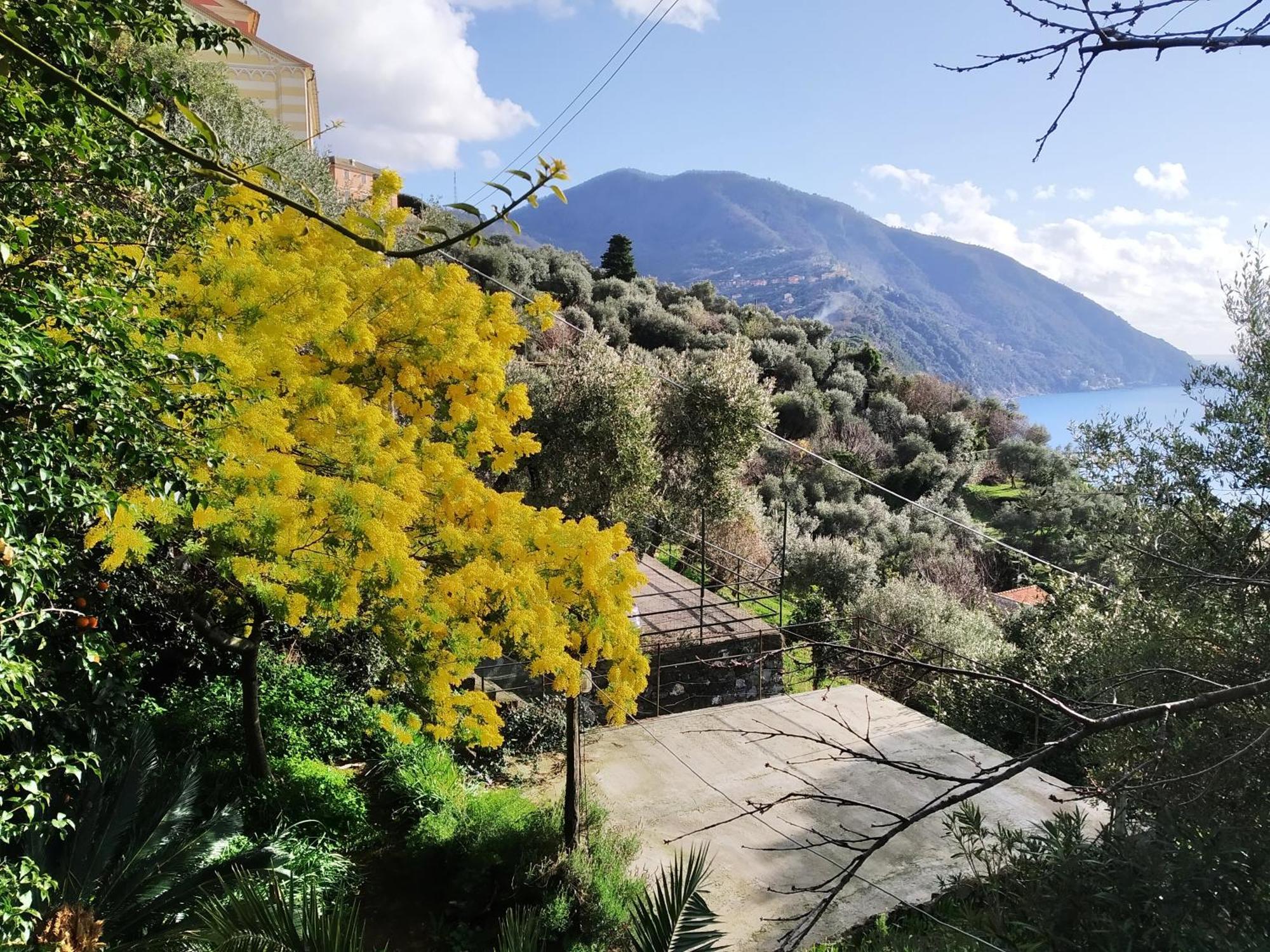 Villa San Prospero Camogli Rom bilde