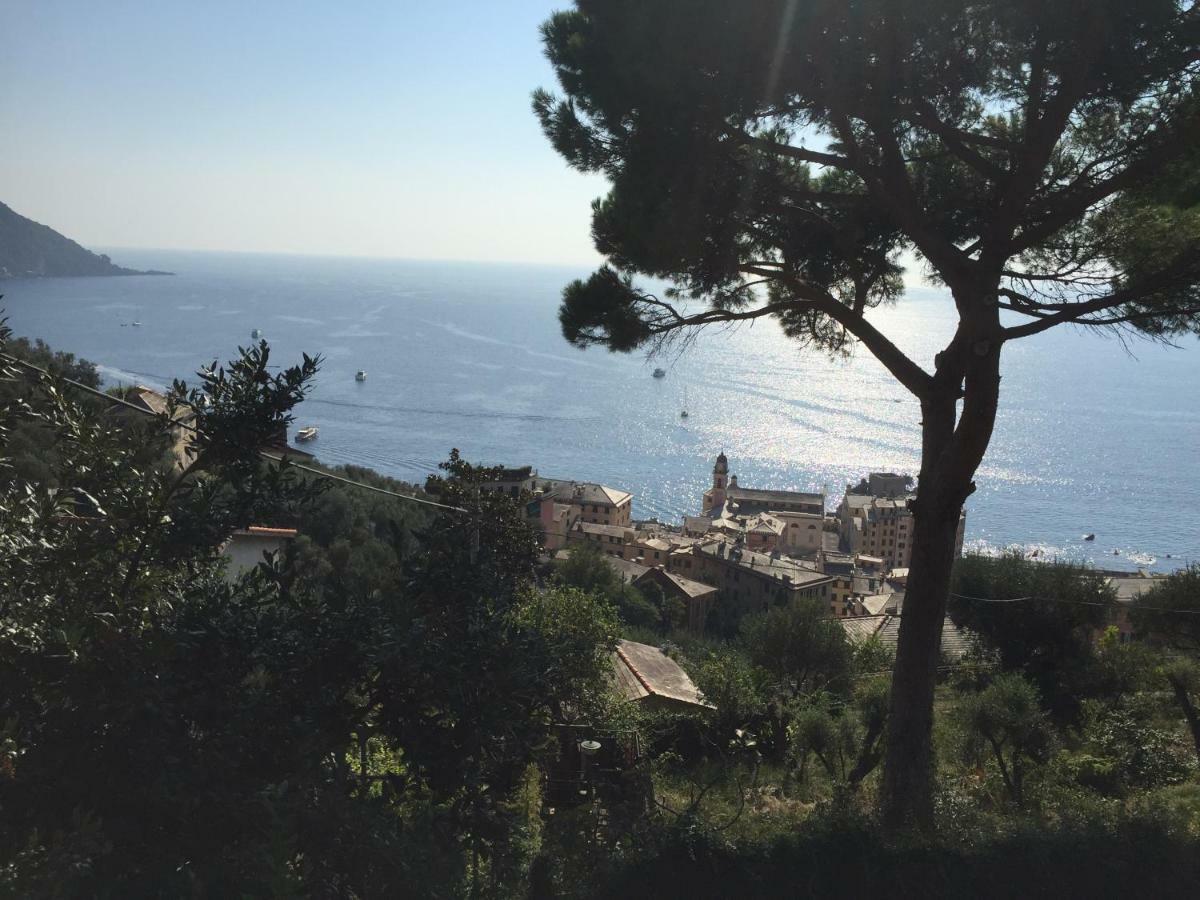 Villa San Prospero Camogli Eksteriør bilde