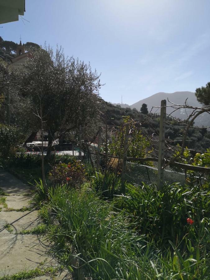 Villa San Prospero Camogli Eksteriør bilde