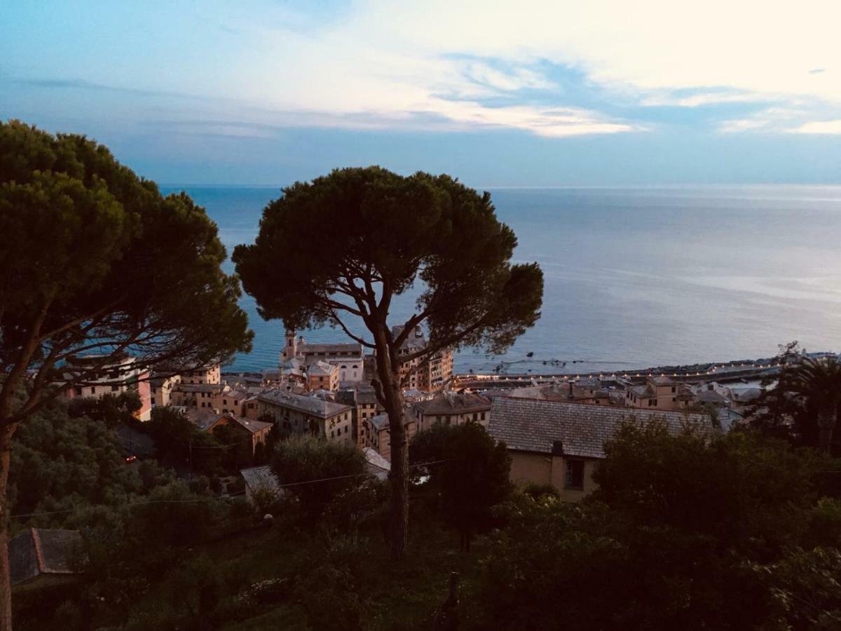 Villa San Prospero Camogli Eksteriør bilde