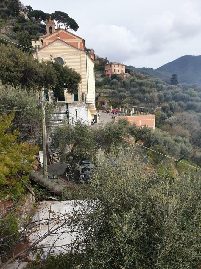 Villa San Prospero Camogli Eksteriør bilde