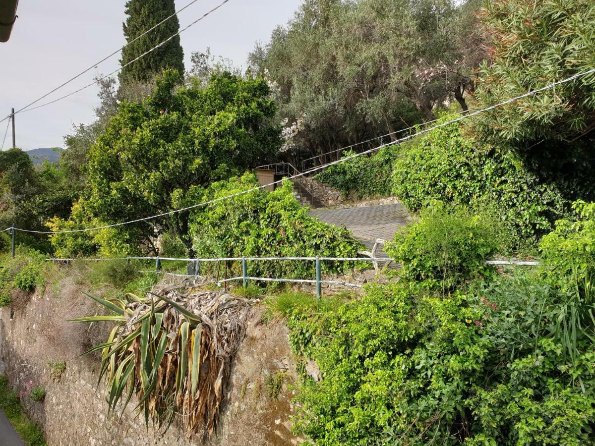 Villa San Prospero Camogli Eksteriør bilde