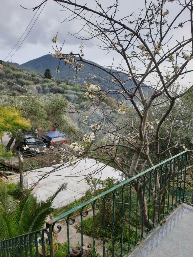 Villa San Prospero Camogli Eksteriør bilde