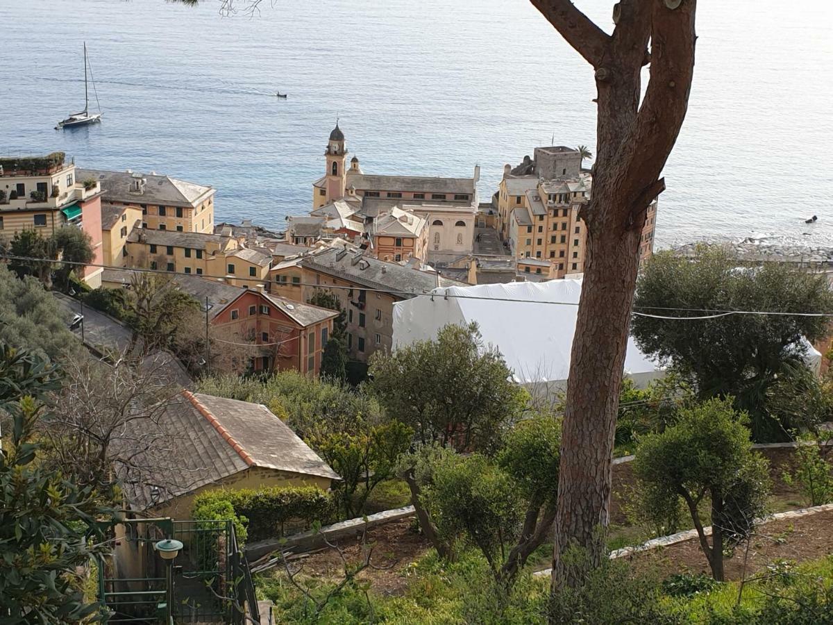 Villa San Prospero Camogli Eksteriør bilde