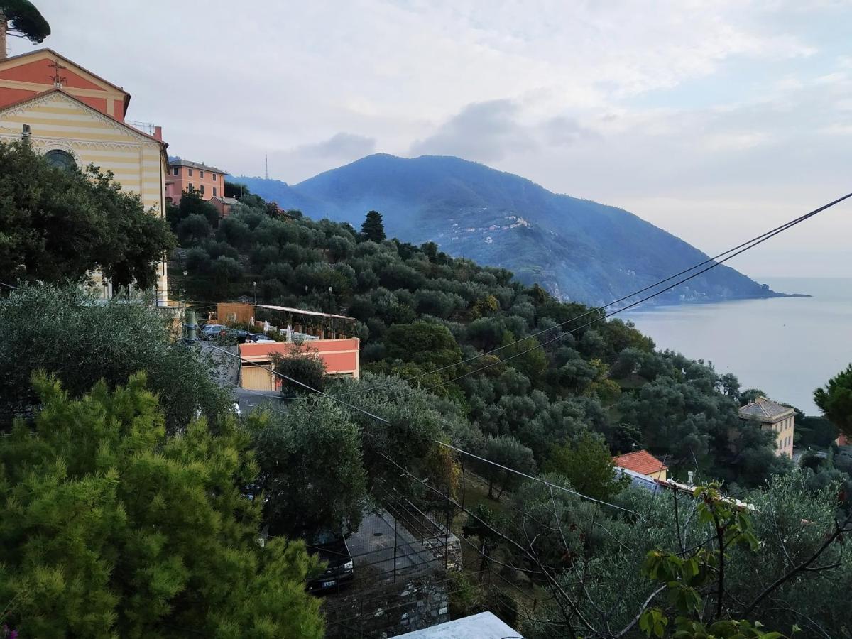 Villa San Prospero Camogli Eksteriør bilde